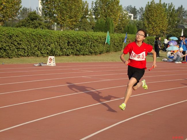 ctrl+鼠标滚轮缩放